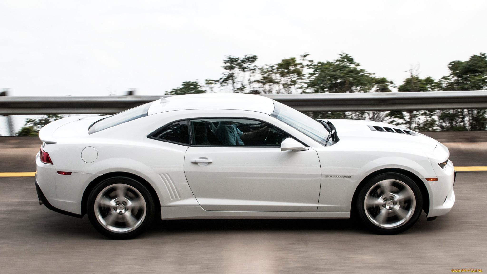 chevrolet, camaro, , , , , , gm, division
